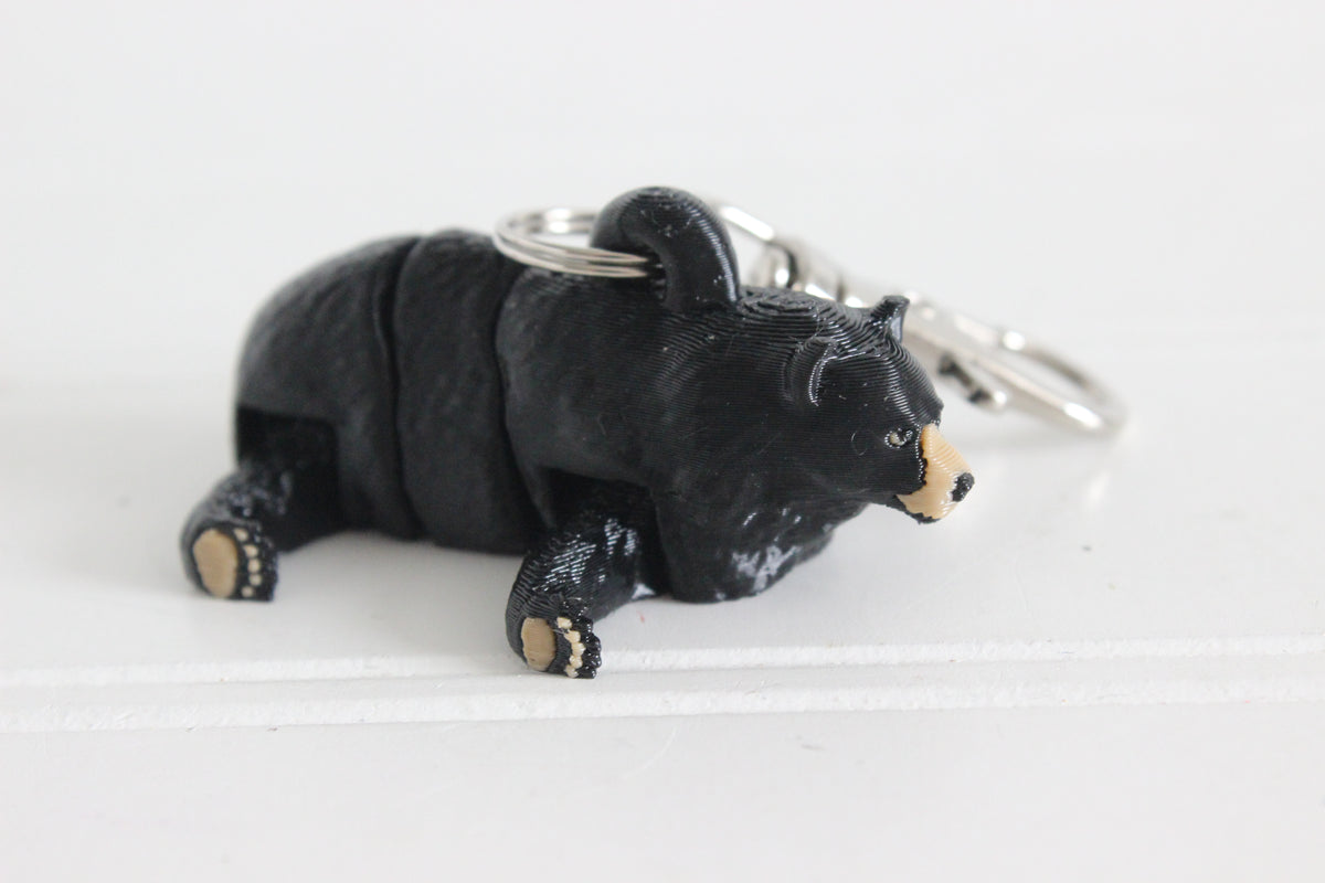 Black Bear - Walking
